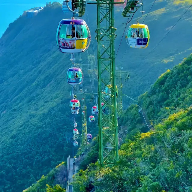 In-Depth Tour of Hong Kong Ocean Park|A Complete Guide to the Mountain and Sea Romance from the Cable Car Perspective