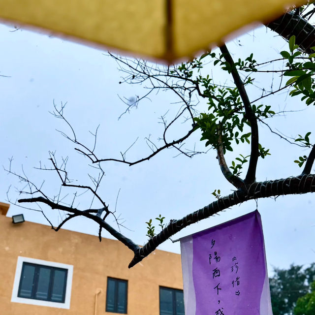 香港小墾丁馬灣島🌴 兩天一夜深度遊攻略