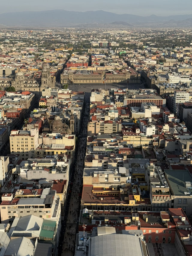 Tacos, Castles, and Culture: My Mexico City Highlights 🌮 🇲🇽 