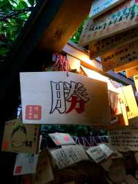 東京出發！川越小江戶交通攻略 