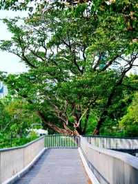 曼谷班嘉詩麗皇后公園交通攻略：輕鬆抵達都市綠洲  