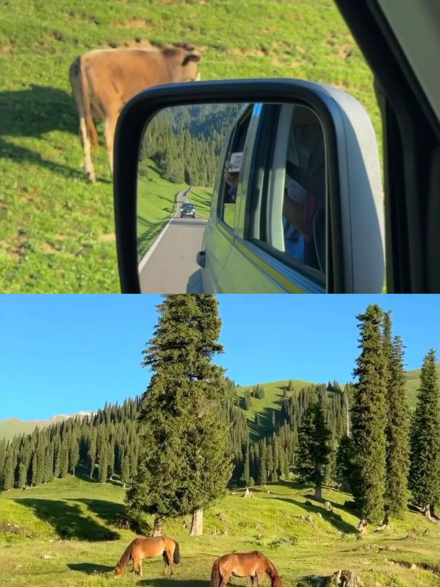 新疆永遠係我旅行嘅首選！真係太靚啦！