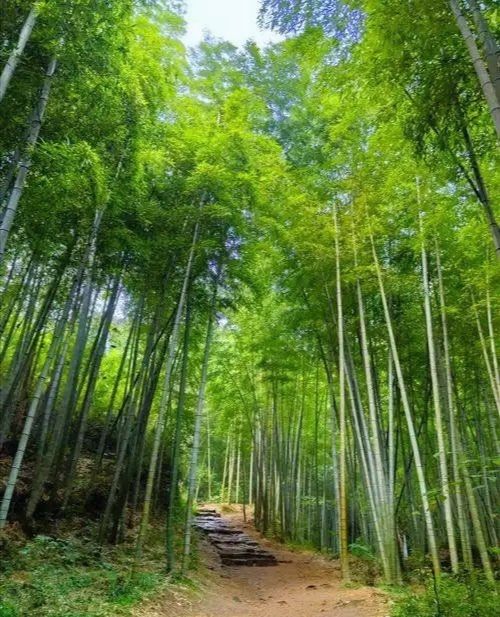 你絕對估唔到嘅江浙滬周邊6個神仙地方