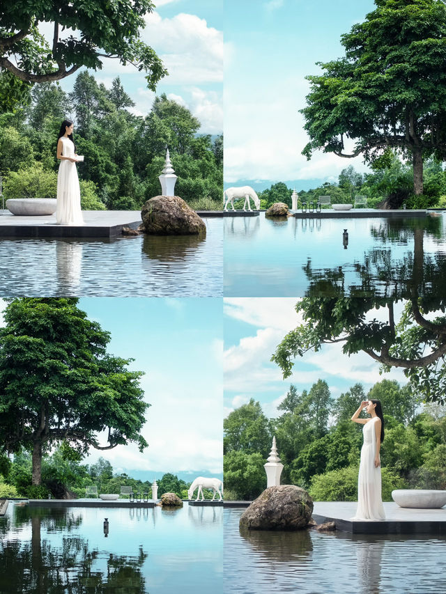 喺西雙版納遇到咗現實版嘅雲海夢境～