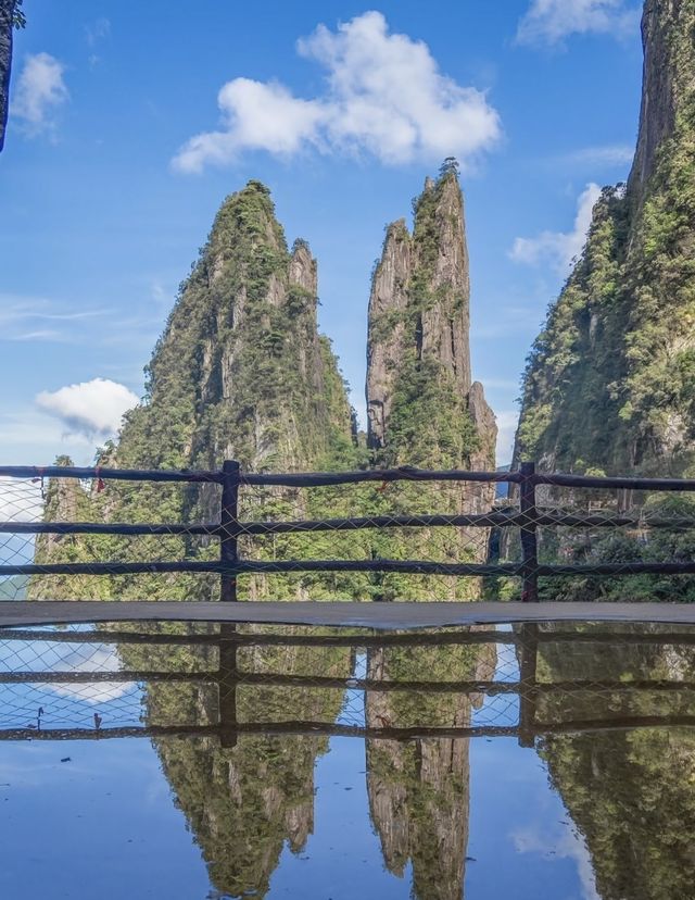 高考後的「森」呼吸！莽山避暑+漂流+民宿全攻略🌿