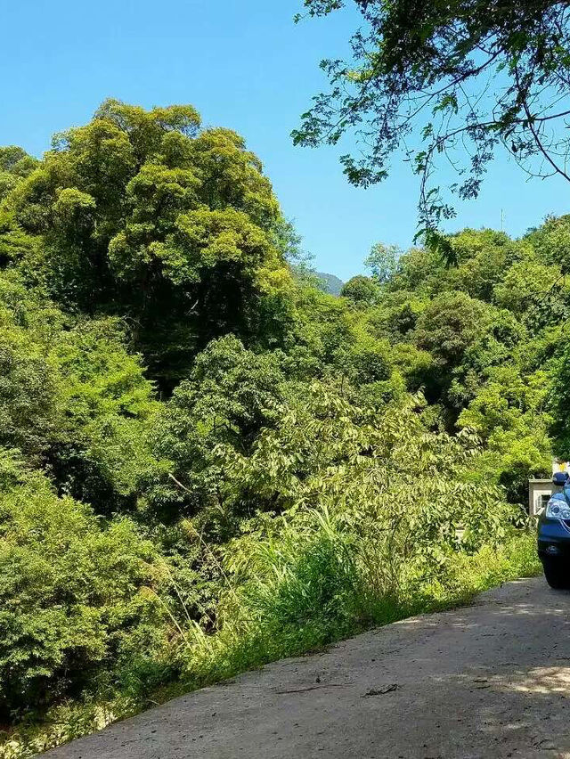 探索連山：山水之間的奇幻之旅