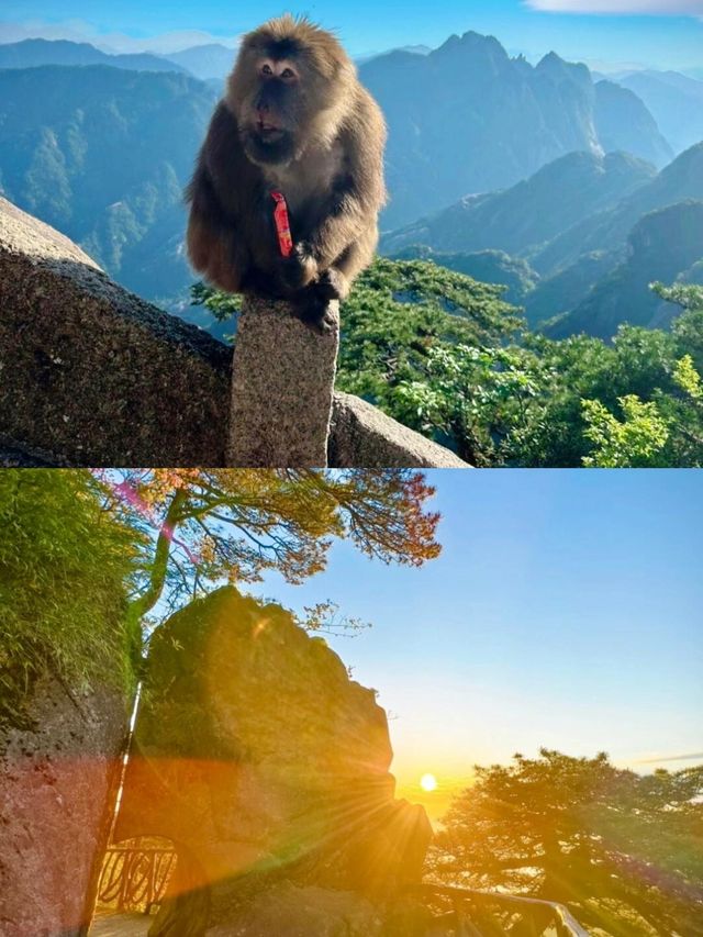 黃山歸來不看嶽