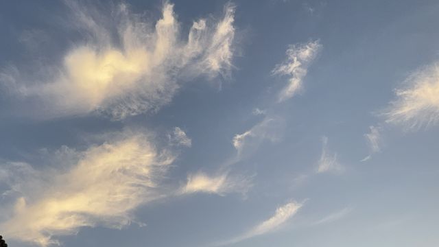 杭州私藏神仙居·運河邊的藍白民宿