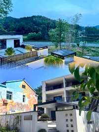 夏日避暑新選擇——少間梧桐下