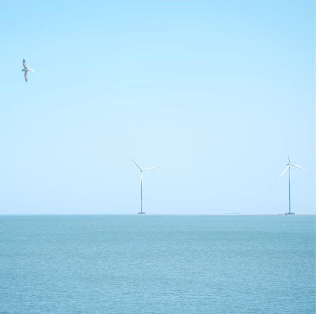 流金古韻遇海天：天津媽祖廟與觀瀾角的晨昏戀曲在渤海灣畔