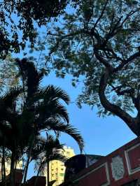 香港出發至澳門加思欄花園交通攻略 