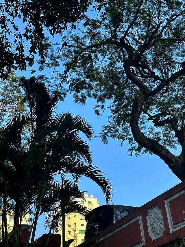 香港出發至澳門加思欄花園交通攻略 