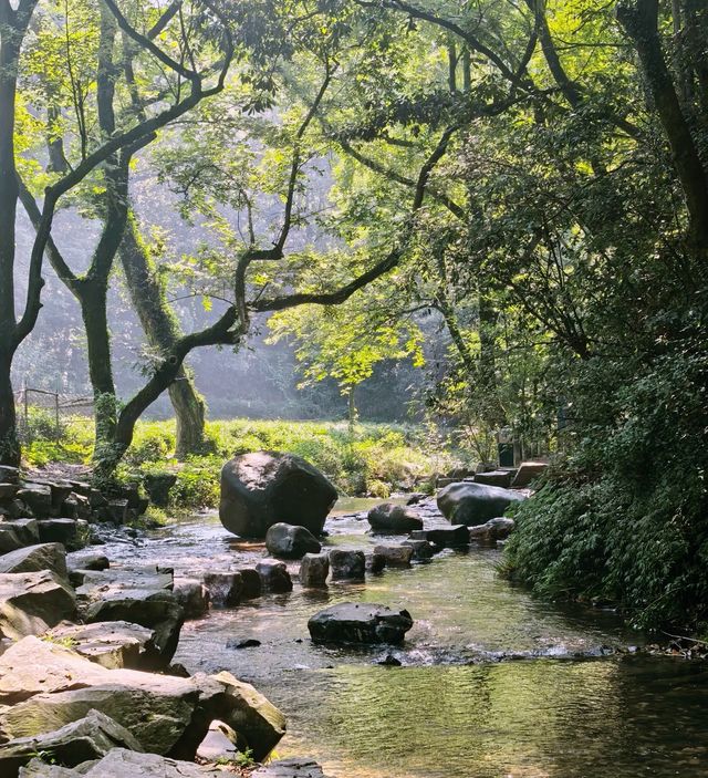 江浙滬夏日徒步天花板！避開人潮的清涼秘境速碼