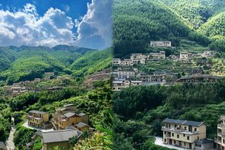 Stunning Aerial View! Vast Bamboo Sea Sways, Yima'an Bamboo Sea Looks Like a Movie!