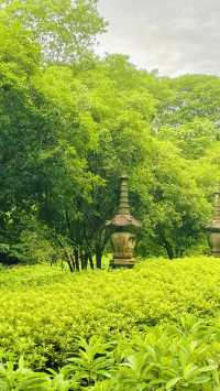 《永福禪寺嘅禪意生活體驗如何？》