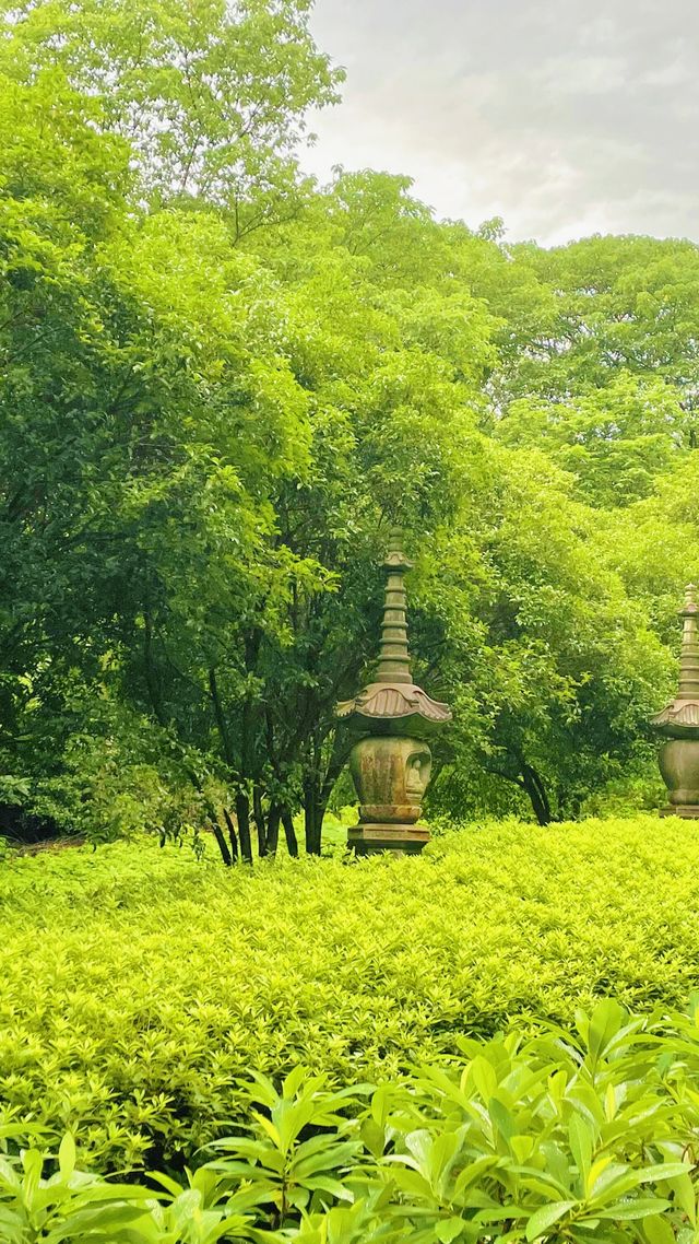 《永福禪寺嘅禪意生活體驗如何？》