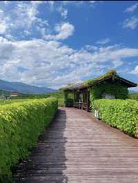 龍岩夏季遊玩必去景點！