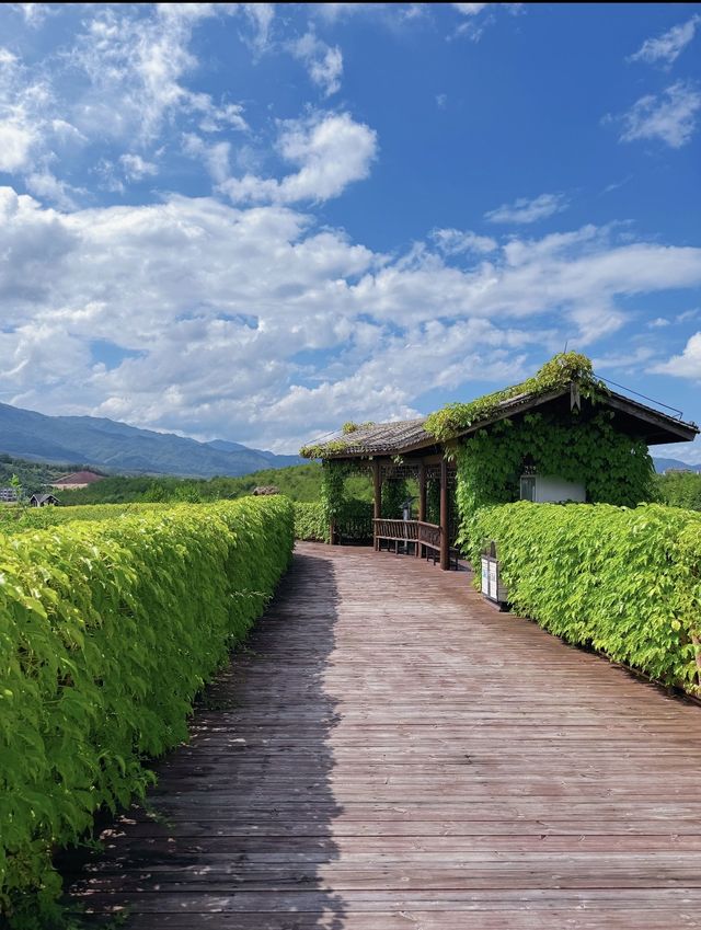龍岩夏季遊玩必去景點！