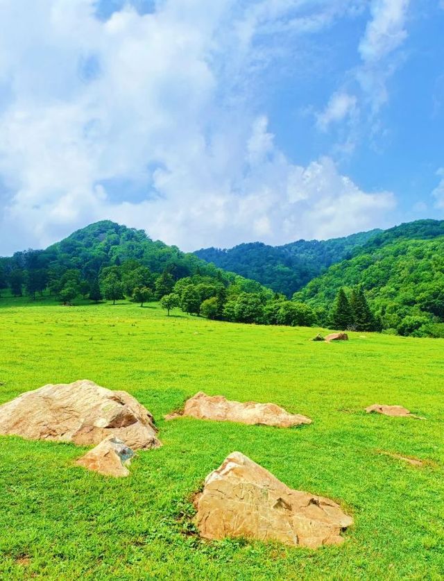解鎖臨江溪谷嘅夏日密碼