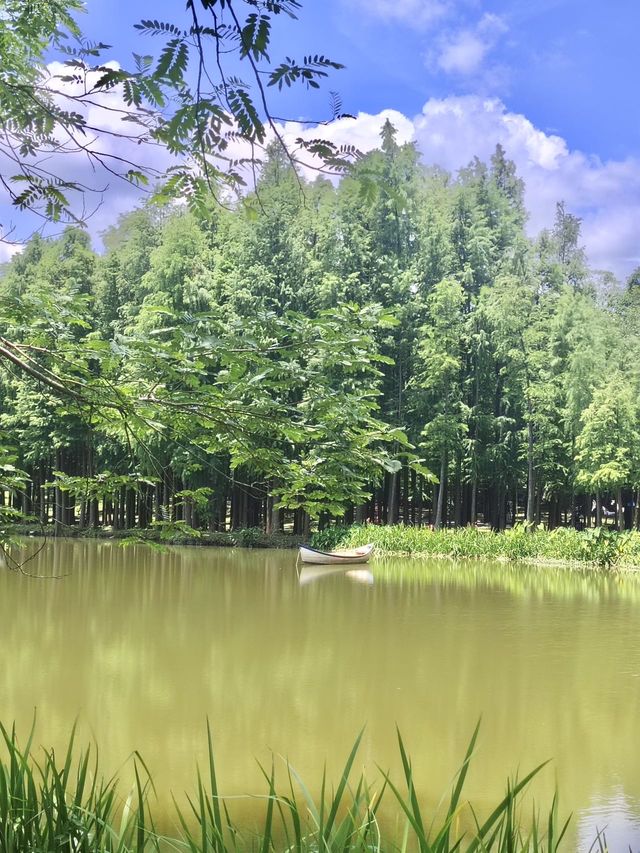 清遠森波拉度假森林現實版綠野仙蹤！