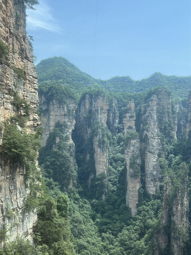 ✨ Trip Moment: Zhangjiajie ✨
