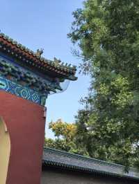 天壇夏暮：槐花紫薇共舞的時光