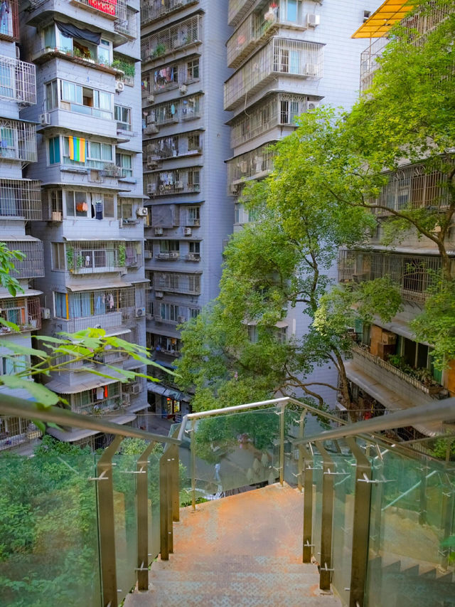 重慶丨春森路city walk||重慶折疊的舊夢切片