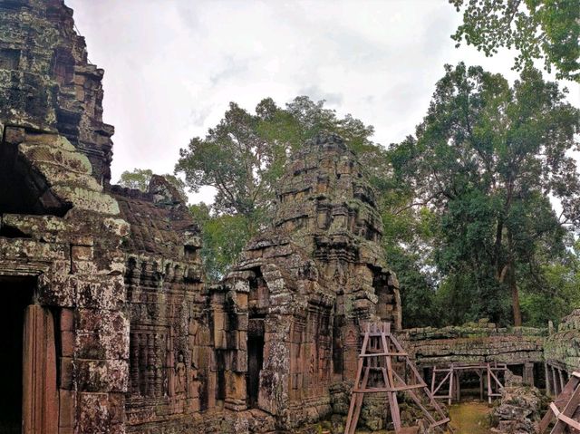 TA NEI Temple: Angkor’s Wild Soul