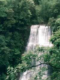 《逃離重慶40℃嘅蒸籠，去四面山搵返21℃嘅夏天》