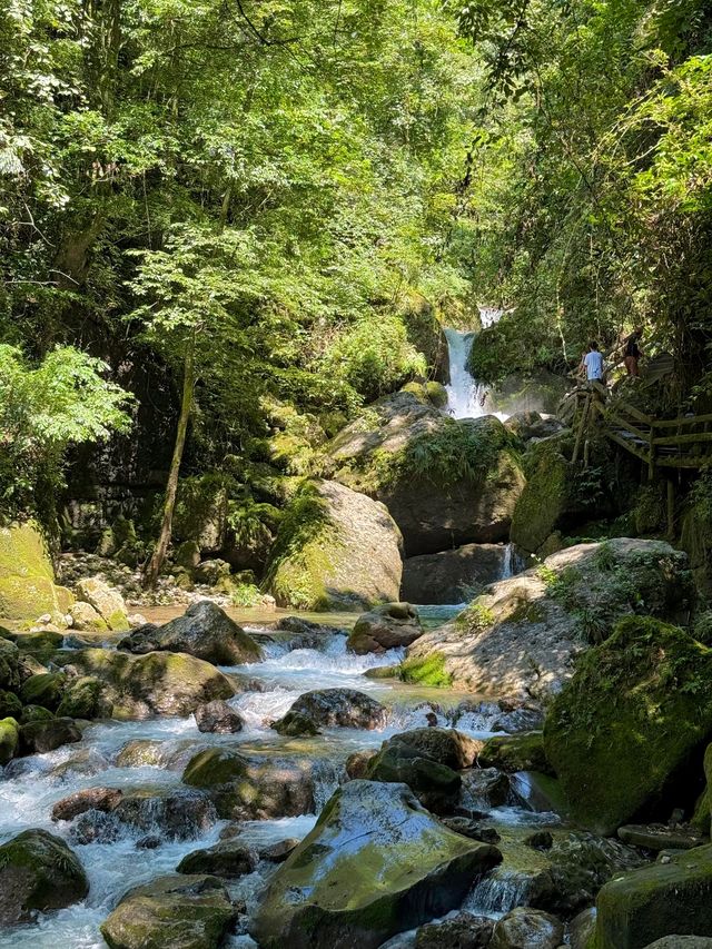 夏日消暑推介！青城後山玩水勝地週末快啲去打卡！
