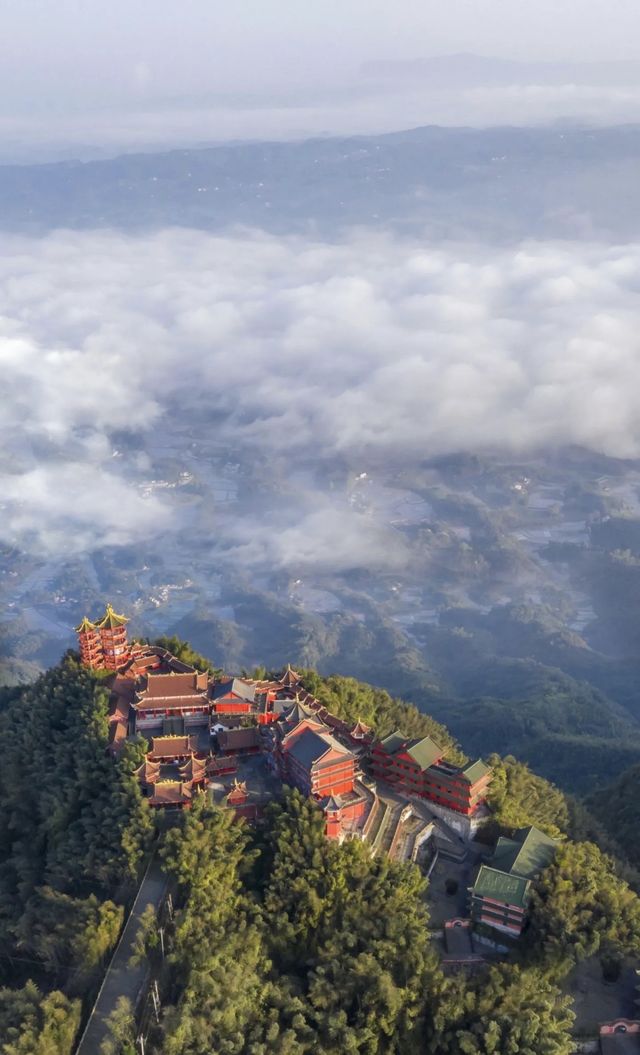 竹海盛景