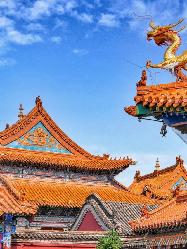 呼和浩特旅遊攻略來啦 | 帶你領略草原魅力