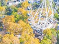 合肥逍遙津公園賞秋攻略不可錯過的寶藏地方