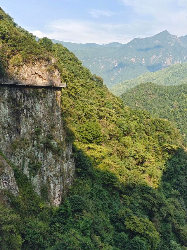 衢州藥王山|馬尾瀑下聽泉鳴 原始林中覓仙蹤 衢州藥王山|馬尾瀑下聽泉鳴 原始林中覓仙蹤