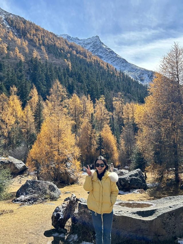 決定了秋天就去四姑娘山+理小路＋畢棚溝