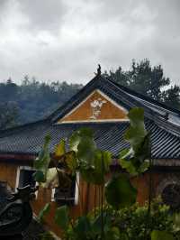 天台山秋意爆表！國清寺秋收盛景等你打卡