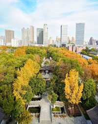在合肥框住一整個秋天