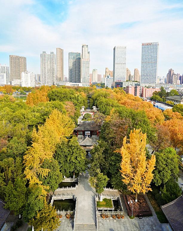 在合肥框住一整個秋天 在合肥框住一整個秋天