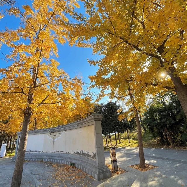 秋意濃情，邂逅洛神公園的詩意時