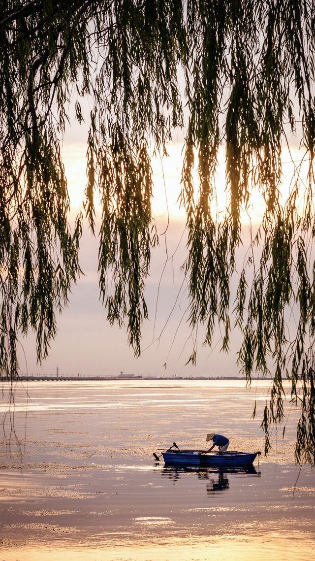 青浦騎行路線|沿著元蕩湖騎進宮崎駿的夏天!附保姆級攻略 青浦騎行路線|沿著元蕩湖騎進宮崎駿的夏天!附保姆級攻略