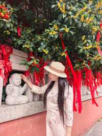 這個金秋我在毗盧寺淋了一身桂花雨