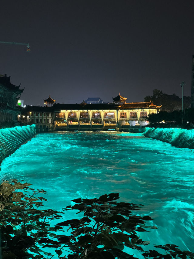 都江堰藍眼淚免費打卡|夢幻夜景拍出高級感! 都江堰藍眼淚免費打卡|夢幻夜景拍出高級感!