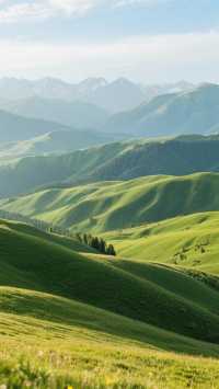 人均不到1700!三人自駕內蒙古扎魯特旗山地草原兩天一宿攻略