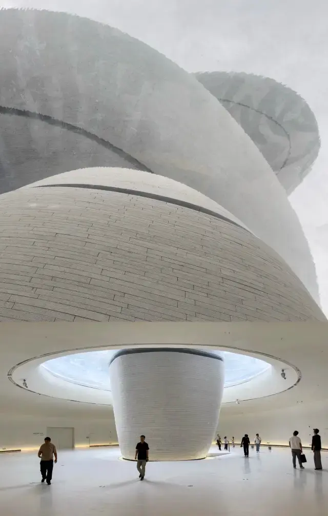 Shenzhen's New Landmark Light and Shadow Art Exhibition