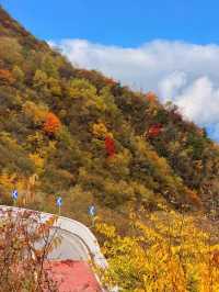 秋色限定牛背山私藏小團，2-8人暢玩雲端仙境！