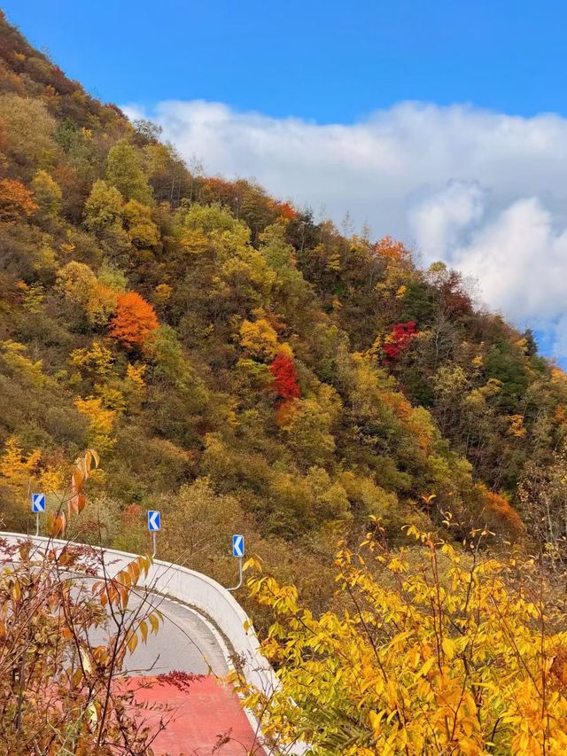 秋色限定牛背山私藏小團，2-8人暢玩雲端仙境！