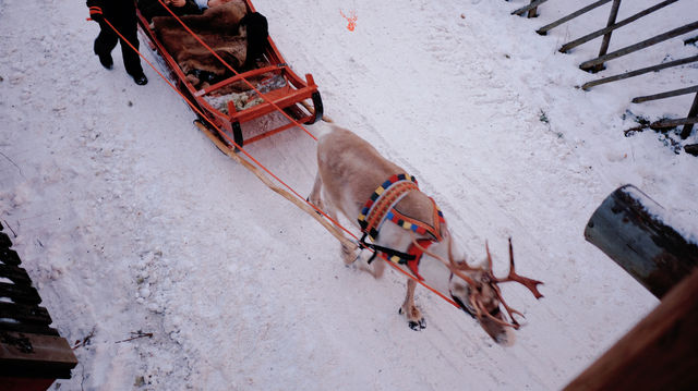北歐兩國11日深度遊 朋友圈熱門攻略