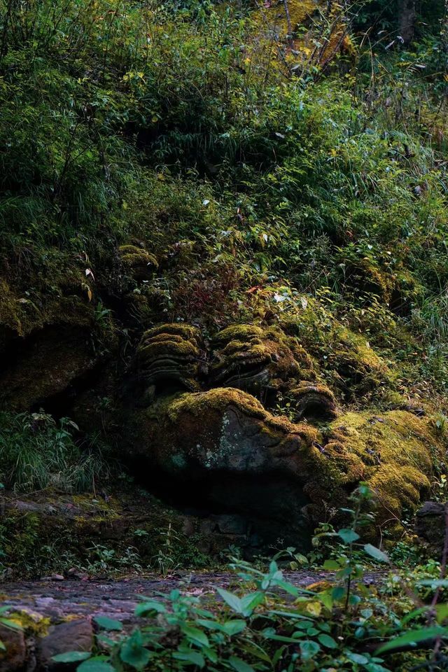 大理周邊2h,徐霞客都愛的寶藏千獅祕境 大理周邊2h,徐霞客都愛的寶藏千獅祕境