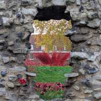 A Five-Star Day at the Tower of London