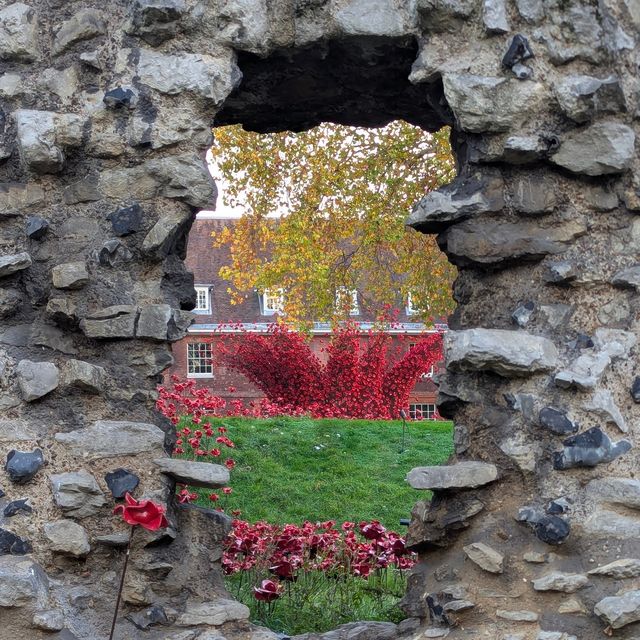 A Five-Star Day at the Tower of London
